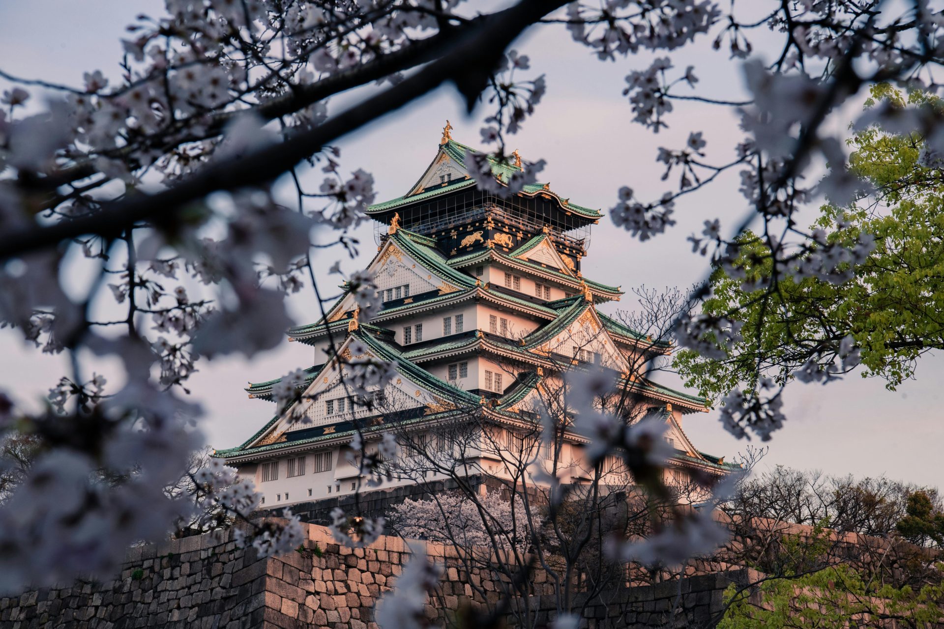 kyoto, Japão 🇯🇵: Um Guia Completo da Cidade Histórica e Cultural